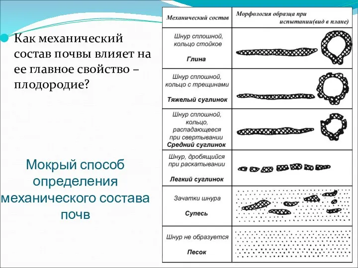 Мокрый способ определения механического состава почв Как механический состав почвы влияет