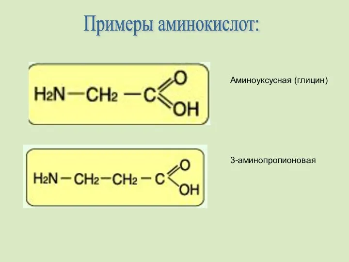 Примеры аминокислот: Аминоуксусная (глицин) 3-аминопропионовая