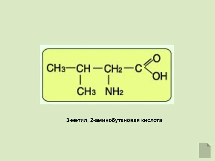 3-метил, 2-аминобутановая кислота