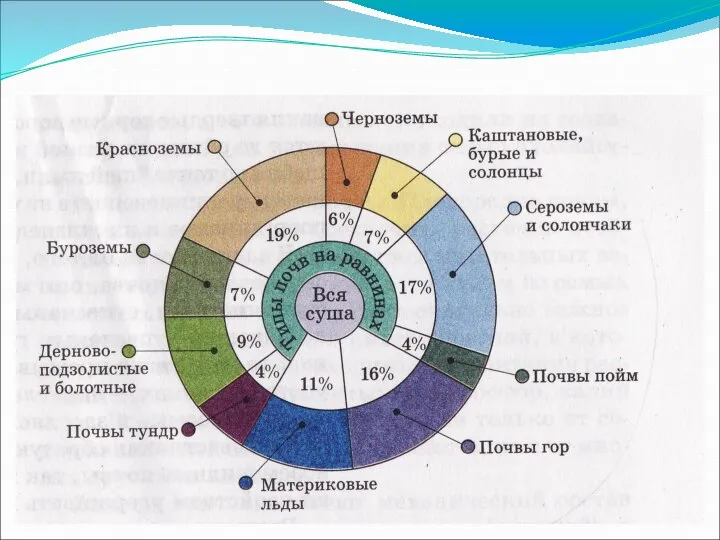 Типы почв