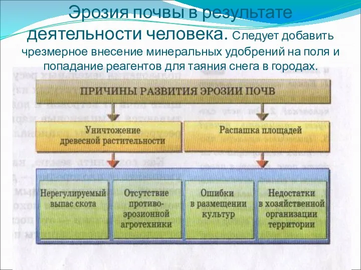 Эрозия почвы в результате деятельности человека. Следует добавить чрезмерное внесение минеральных