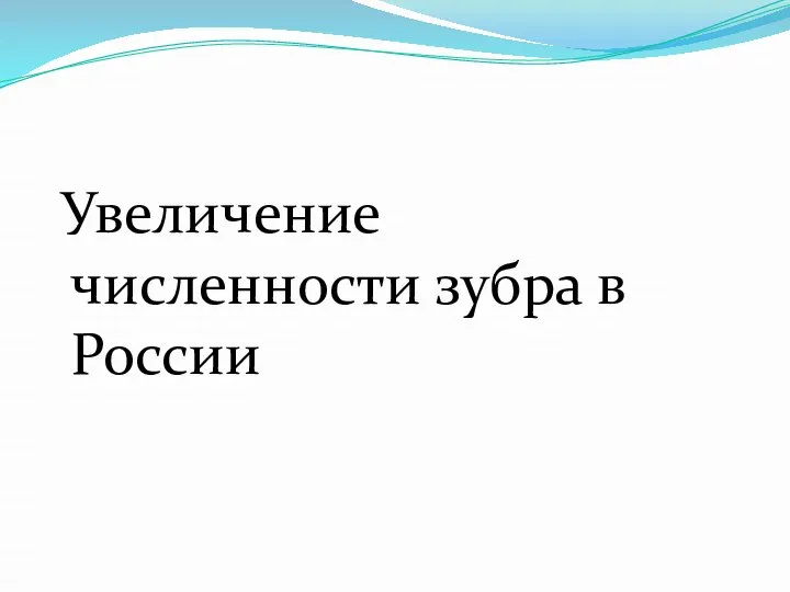 Увеличение численности зубра в России