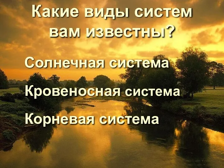 Какие виды систем вам известны? Солнечная система Кровеносная система Корневая система