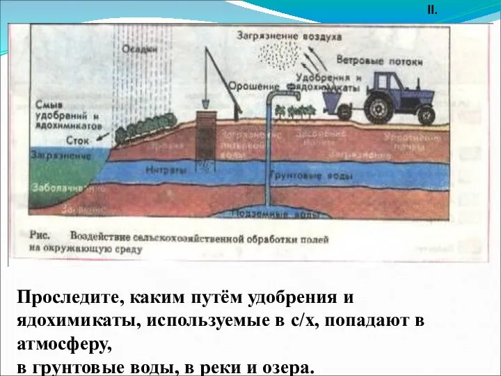 Проследите, каким путём удобрения и ядохимикаты, используемые в с/х, попадают в