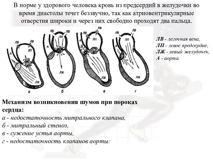 В норме у здорового человека кровь из предсердий в желудочки во