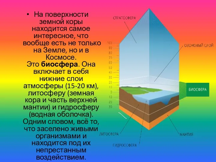 На поверхности земной коры находится самое интересное, что вообще есть не