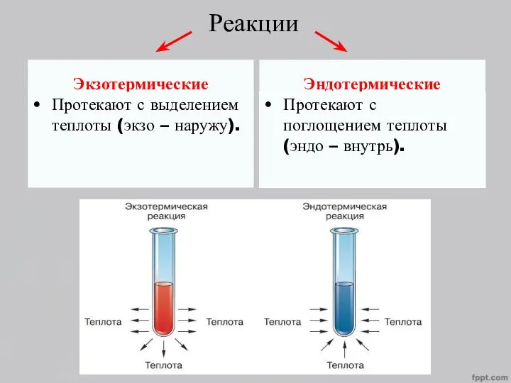 Реакции Экзотермические Протекают с выделением теплоты (экзо – наружу). Эндотермические Протекают