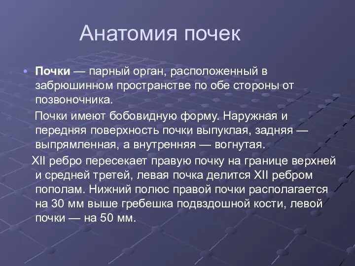 Анатомия почек Почки — парный орган, расположенный в забрюшинном пространстве по