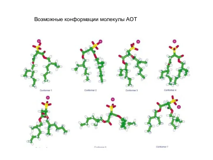 Возможные конформации молекулы АОТ