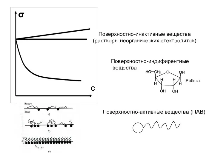 Поверхностно-инактивные вещества (растворы неорганических электролитов) Поверхностно-индифирентные вещества Поверхностно-активные вещества (ПАВ) σ С Рибоза