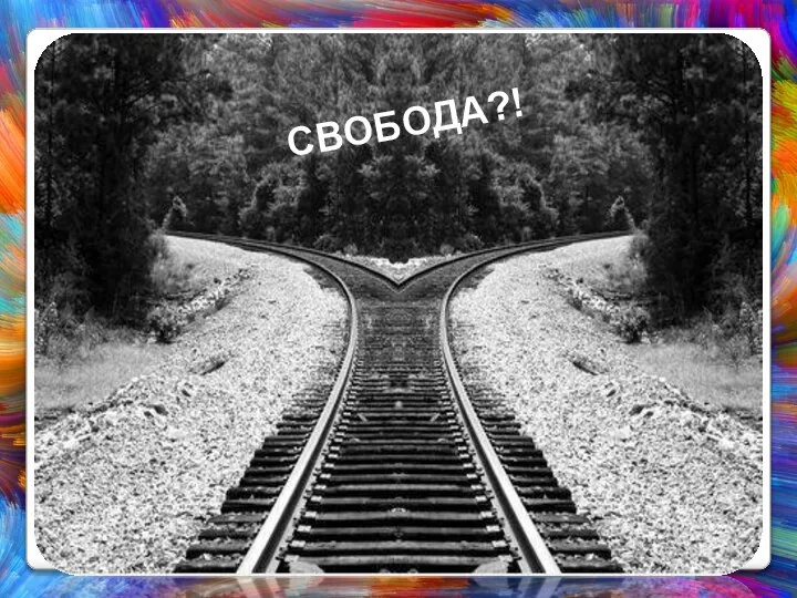 СВОБОДА?!