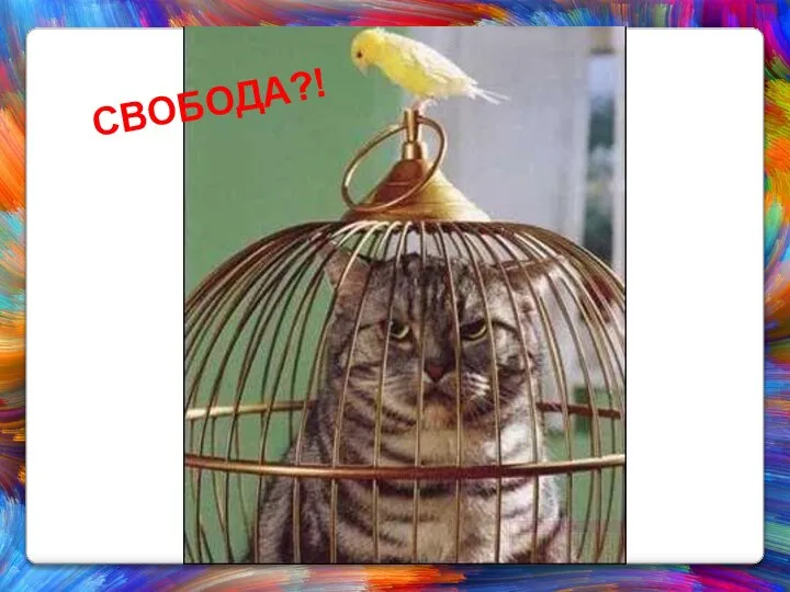 СВОБОДА?!