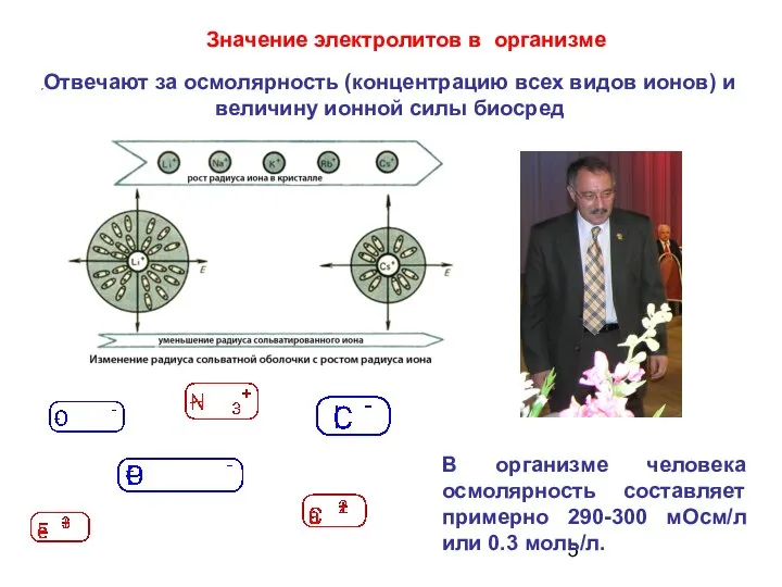 Отвечают за осмолярность (концентрацию всех видов ионов) и величину ионной силы