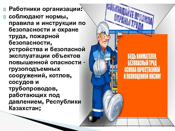 Работники организации: соблюдают нормы, правила и инструкции по безопасности и охране