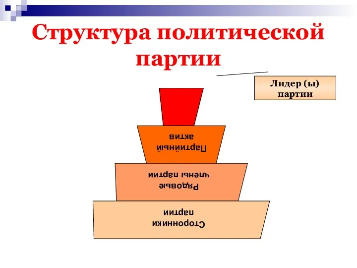 Структура политической партии Лидер (ы) партии