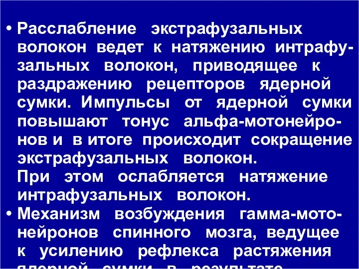 Расслабление экстрафузальных волокон ведет к натяжению интрафу-зальных волокон, приводящее к раздражению