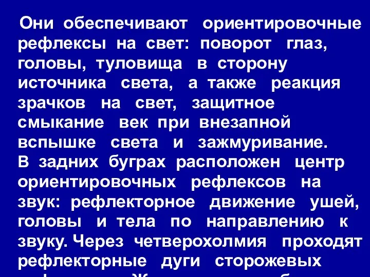 Они обеспечивают ориентировочные рефлексы на свет: поворот глаз, головы, туловища в