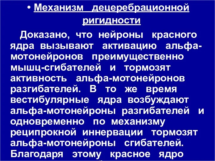 Механизм децеребрационной ригидности Доказано, что нейроны красного ядра вызывают активацию альфа-мотонейронов