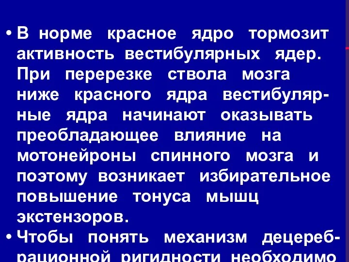 В норме красное ядро тормозит активность вестибулярных ядер. При перерезке ствола