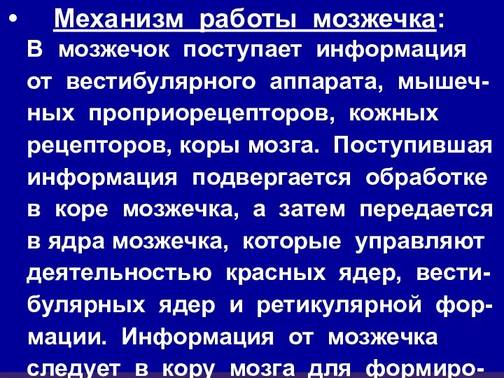 Механизм работы мозжечка: В мозжечок поступает информация от вестибулярного аппарата, мышеч-ных