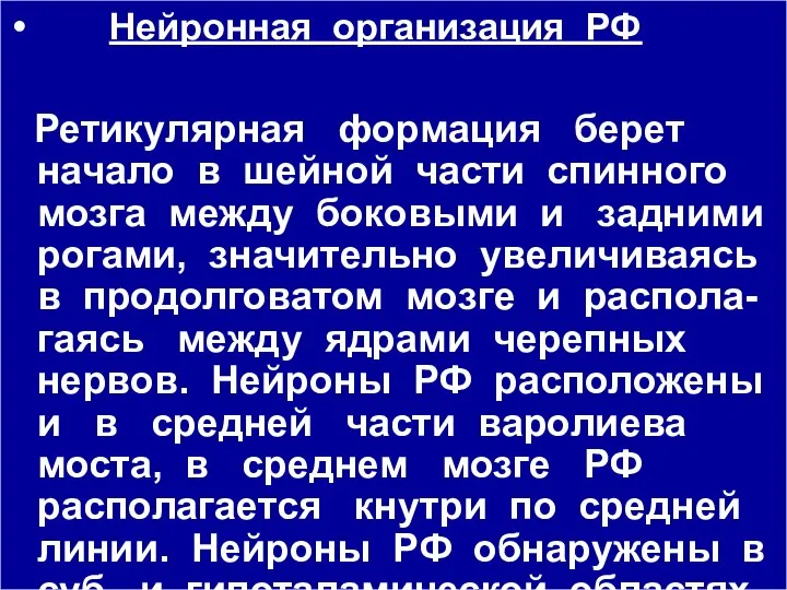 Нейронная организация РФ Ретикулярная формация берет начало в шейной части спинного