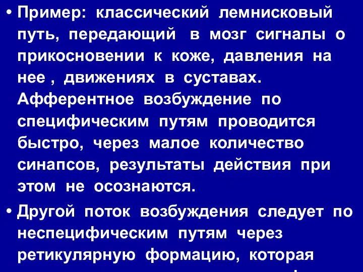 Пример: классический лемнисковый путь, передающий в мозг сигналы о прикосновении к