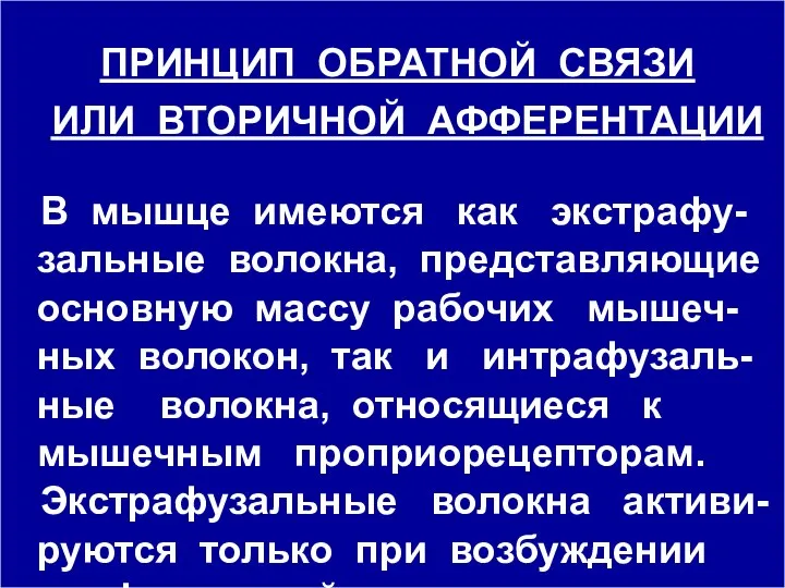 ПРИНЦИП ОБРАТНОЙ СВЯЗИ ИЛИ ВТОРИЧНОЙ АФФЕРЕНТАЦИИ В мышце имеются как экстрафу-зальные