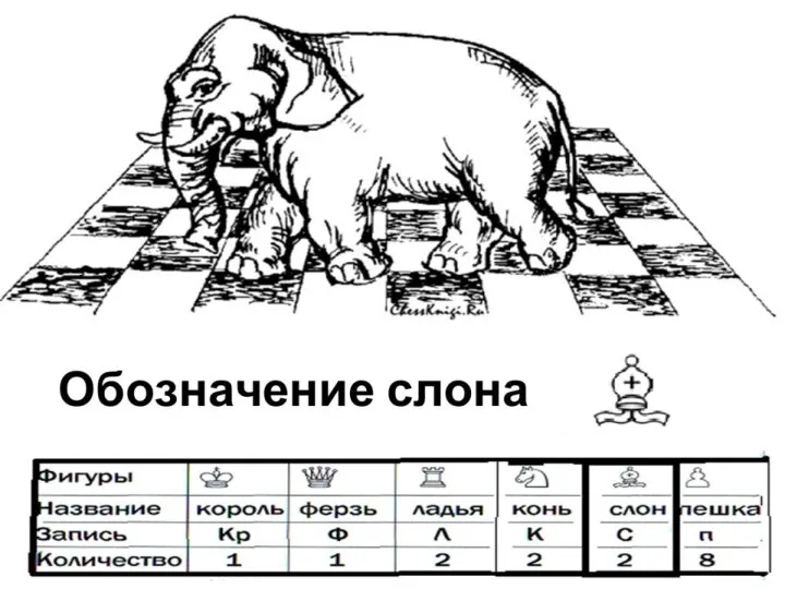 Обитает не в саванне, И не так огромен он, Но такое