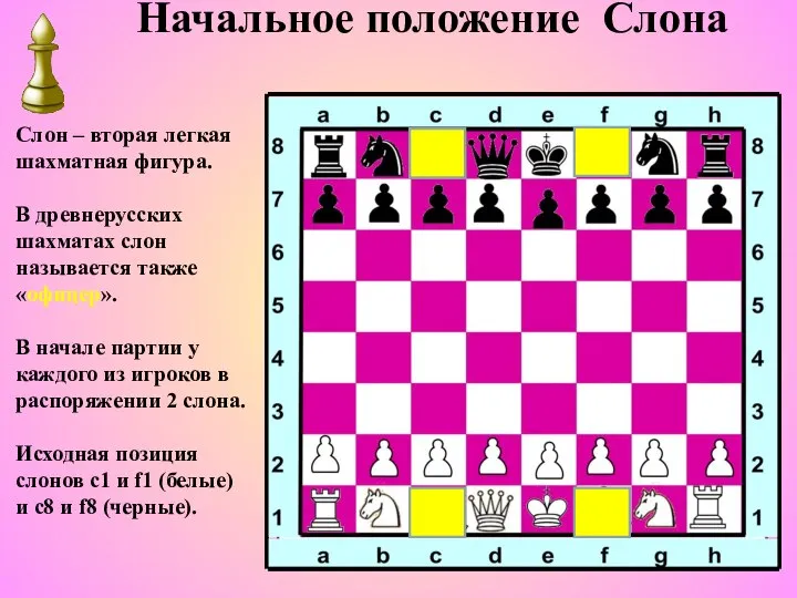 Начальное положение Слона Слон – вторая легкая шахматная фигура. В древнерусских