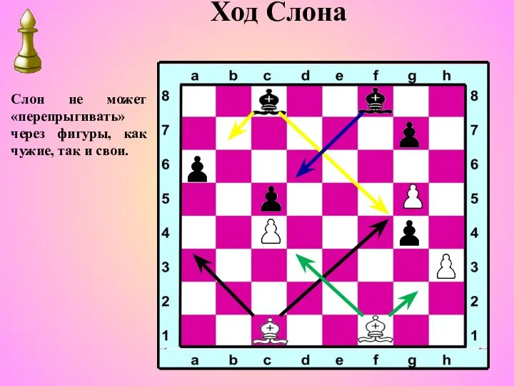 Ход Слона Слон не может «перепрыгивать» через фигуры, как чужие, так и свои.