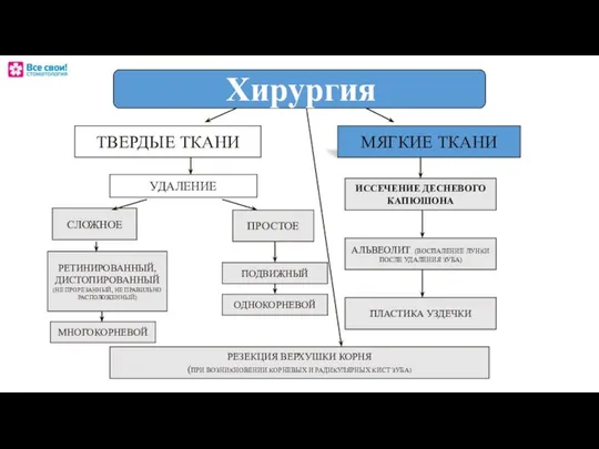 Хирургия ТВЕРДЫЕ ТКАНИ МЯГКИЕ ТКАНИ СЛОЖНОЕ ИССЕЧЕНИЕ ДЕСНЕВОГО КАПЮШОНА АЛЬВЕОЛИТ (ВОСПАЛЕНИЕ