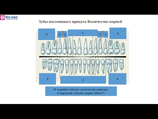 1 3 3 3 3 2 1 В терапии считают количество