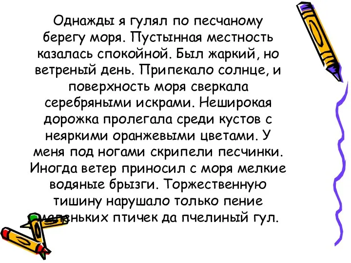 Однажды я гулял по песчаному берегу моря. Пустынная местность казалась спокойной.