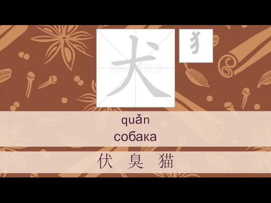 quǎn собака 伏 臭 猫 犭