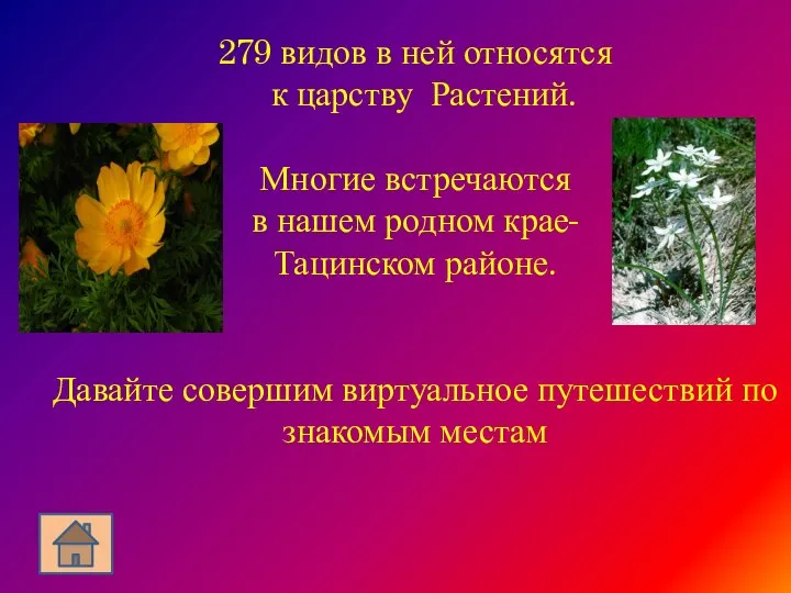 279 видов в ней относятся к царству Растений. Многие встречаются в