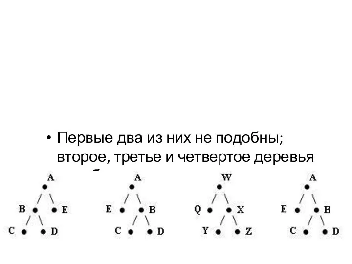 Первые два из них не подобны; второе, третье и четвертое деревья