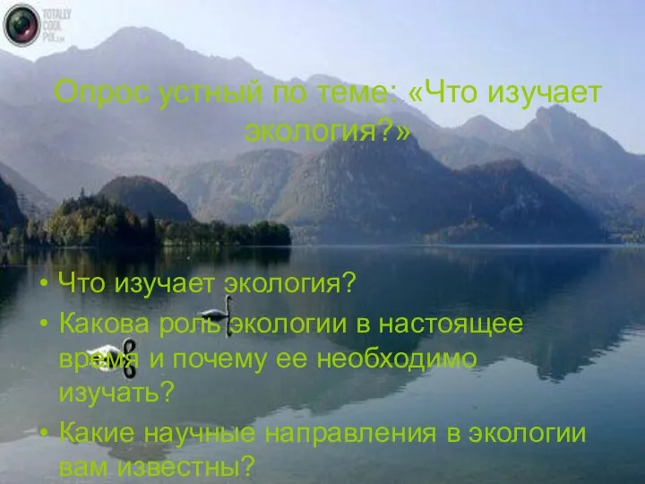 Опрос устный по теме: «Что изучает экология?» Что изучает экология? Какова