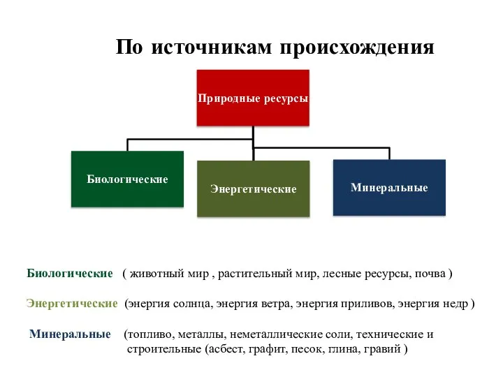 По источникам происхождения Биологические ( животный мир , растительный мир, лесные