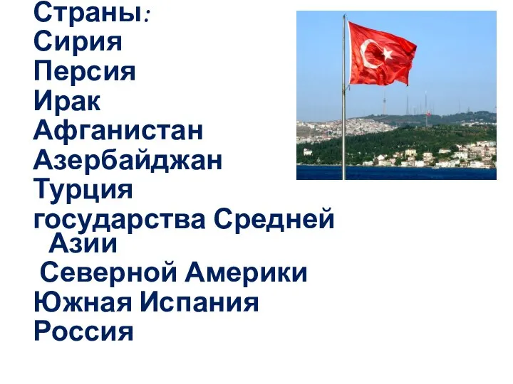 Страны: Сирия Персия Ирак Афганистан Азербайджан Турция государства Средней Азии Северной Америки Южная Испания Россия
