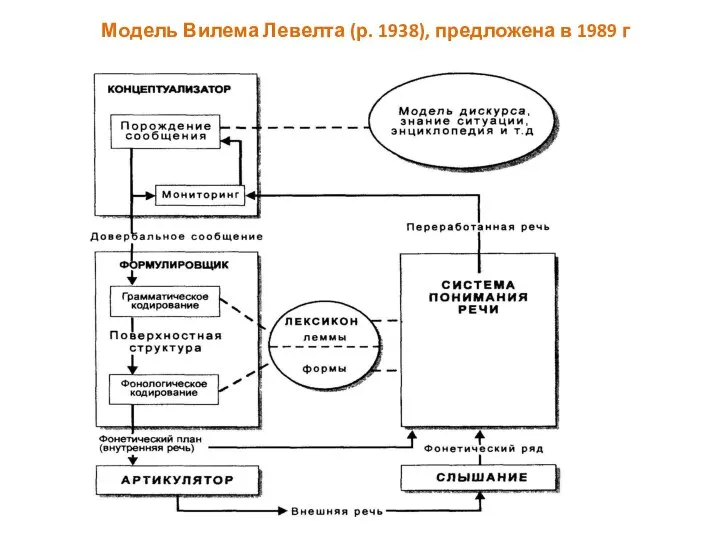 Модель Вилема Левелта (р. 1938), предложена в 1989 г