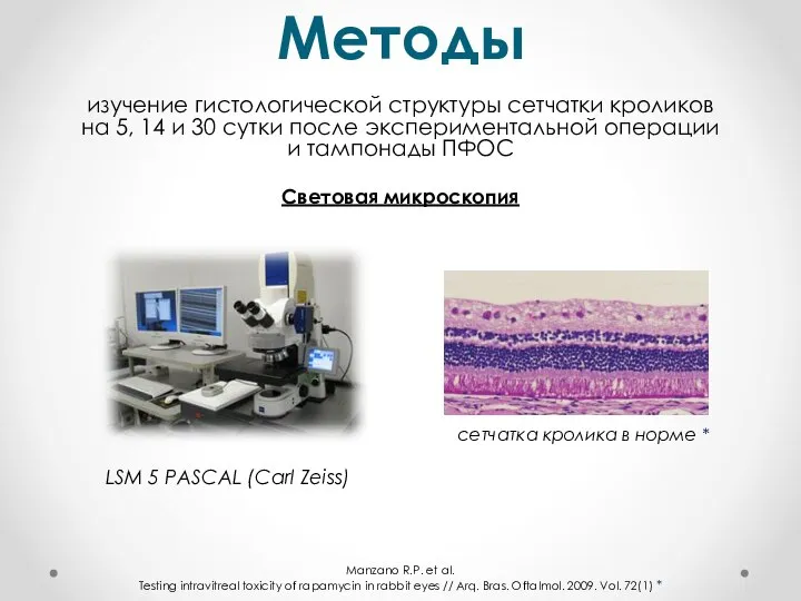 Методы изучение гистологической структуры сетчатки кроликов на 5, 14 и 30