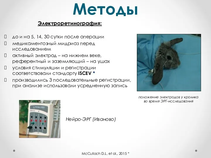 Методы положение электродов у кролика во время ЭРГ-исследования Электроретинография: до и
