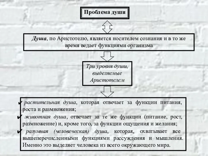 Проблема души Душа, по Аристотелю, является носителем сознания и в то