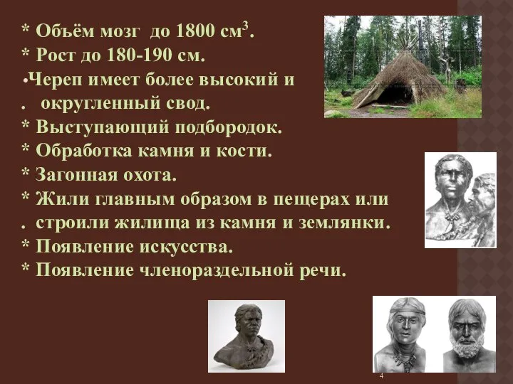 * Объём мозг до 1800 см3. * Рост до 180-190 см.