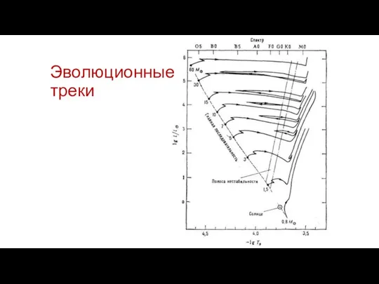 Эволюционные треки