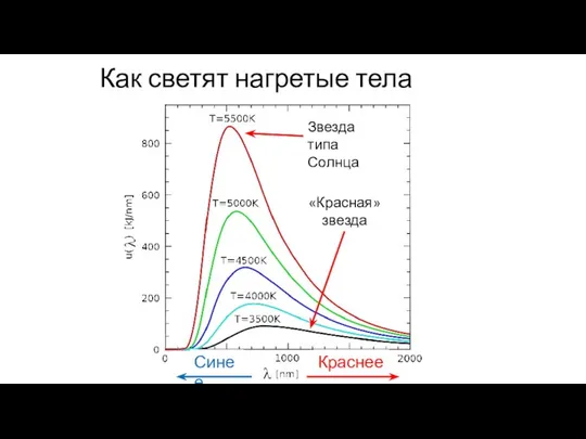 Как светят нагретые тела Краснее Синее Звезда типа Солнца «Красная» звезда