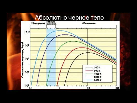 Абсолютно черное тело