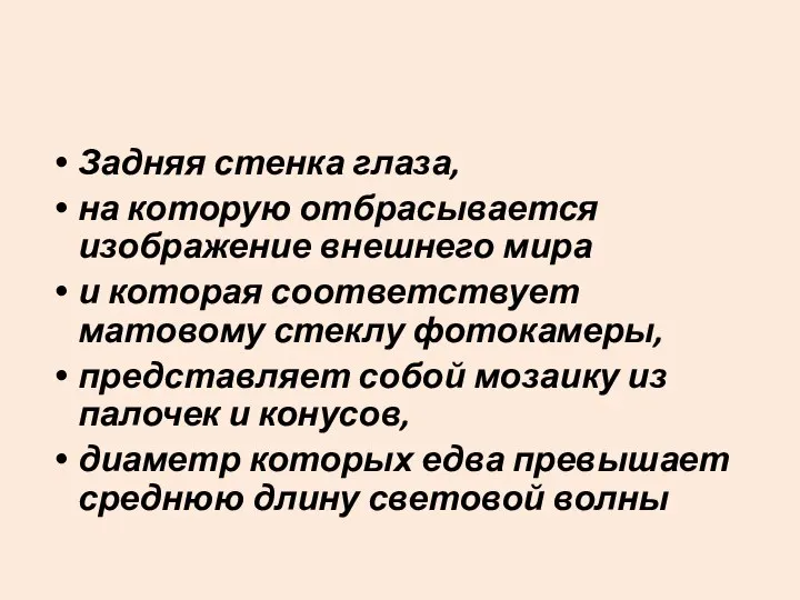 Задняя стенка глаза, на которую отбрасывается изображение внешнего мира и которая