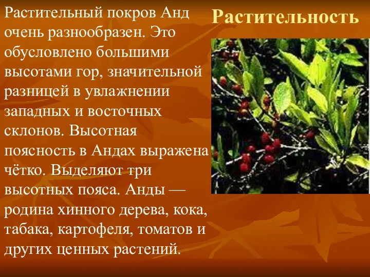 Растительность Растительный покров Анд очень разнообразен. Это обусловлено большими высотами гор,