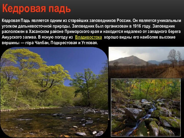 Кедровая падь Кедровая Падь является одним из старейших заповедников России. Он